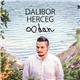 Dalibor Herceg - Osmi dan